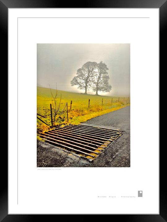 Tree and Grate (Glen Fruin [Scotland]) Framed Mounted Print by Michael Angus