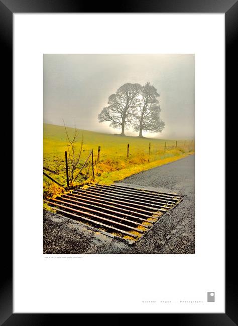 Tree and Grate (Glen Fruin [Scotland]) Framed Print by Michael Angus