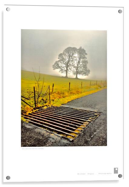 Tree and Grate (Glen Fruin [Scotland]) Acrylic by Michael Angus