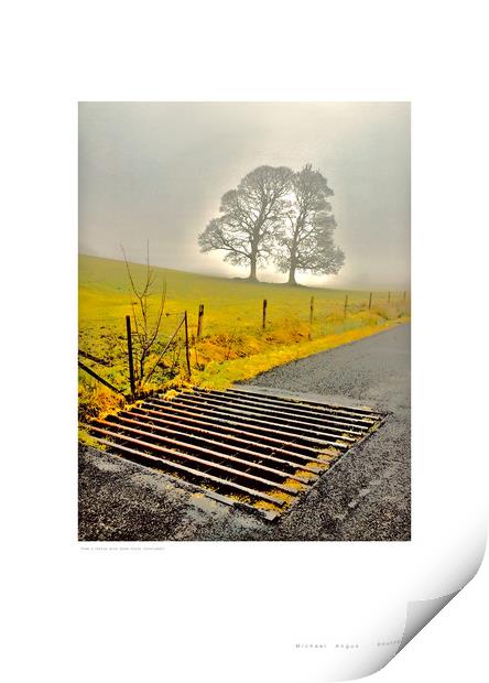 Tree and Grate (Glen Fruin [Scotland]) Print by Michael Angus
