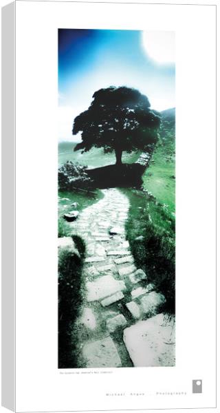 The Sycamore Gap (Hadrian’s Wall) Canvas Print by Michael Angus