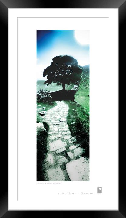The Sycamore Gap (Hadrian’s Wall) Framed Mounted Print by Michael Angus