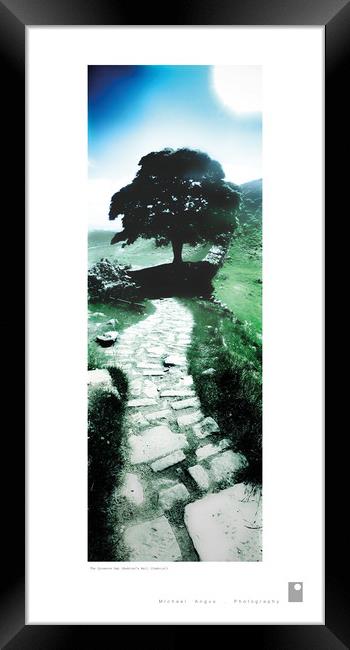 The Sycamore Gap (Hadrian’s Wall) Framed Print by Michael Angus
