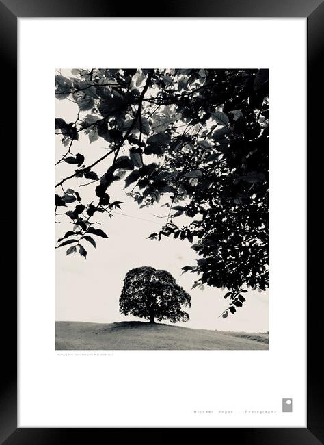 Solitary Tree (Hadrian’s Wall [Cumbria]) Framed Print by Michael Angus