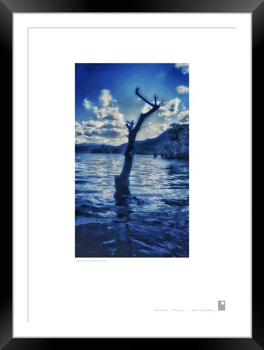 Water Tree (Loch Lomond [Scotland]) Framed Mounted Print by Michael Angus