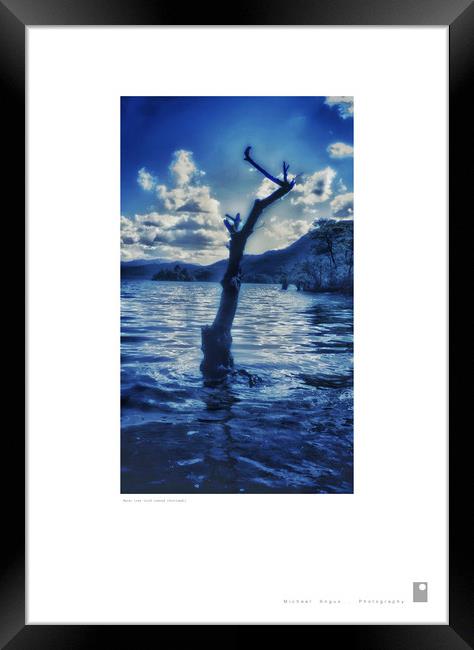 Water Tree (Loch Lomond [Scotland]) Framed Print by Michael Angus