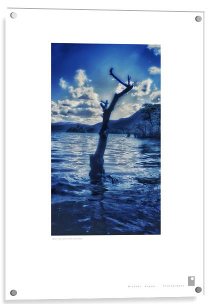 Water Tree (Loch Lomond [Scotland]) Acrylic by Michael Angus