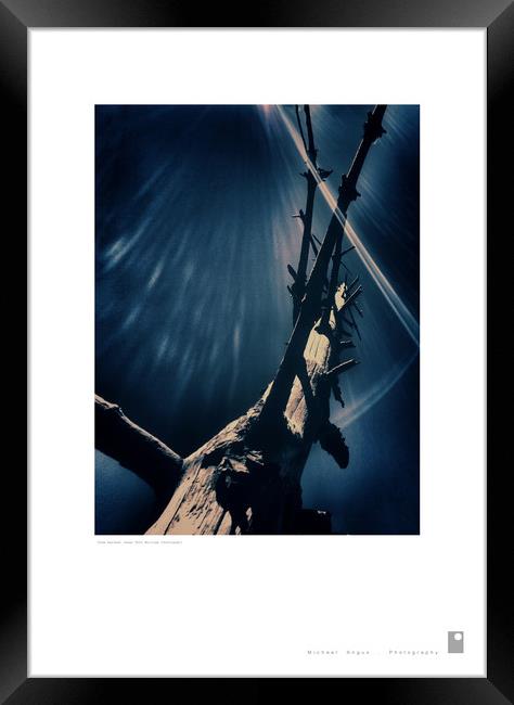Tree Harvest (Fort William (Scotland)] Framed Print by Michael Angus