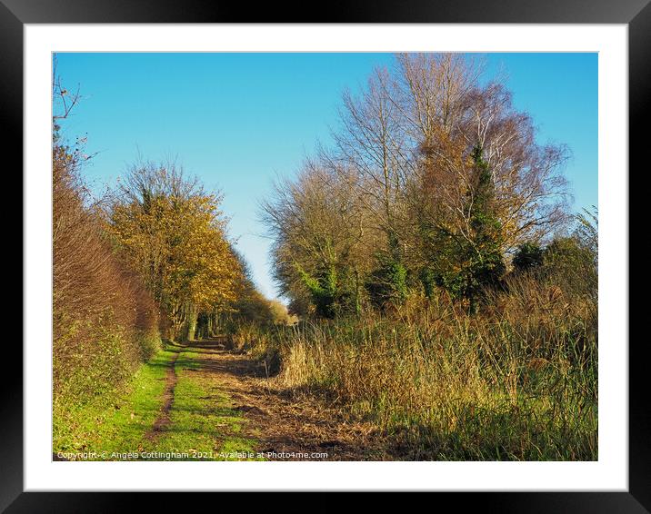 Sunny Winter Footpath Framed Mounted Print by Angela Cottingham