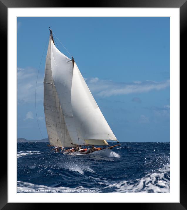 Classic Schooner Framed Mounted Print by Ed Whiting