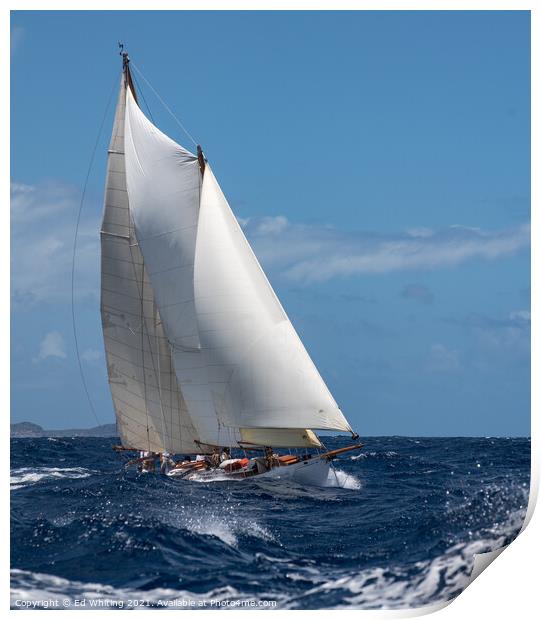 Classic Schooner Print by Ed Whiting
