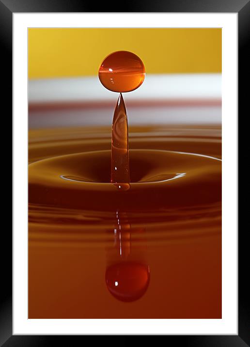 Water Droplet on a Point Framed Mounted Print by Garry Neesam