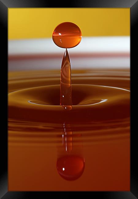 Water Droplet on a Point Framed Print by Garry Neesam