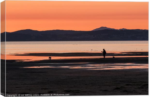 Sunset Morecambe Bay Canvas Print by Liz Withey