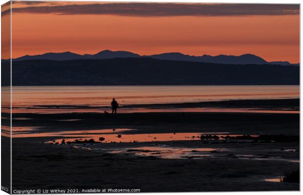 Sunset Morecambe Bay Canvas Print by Liz Withey