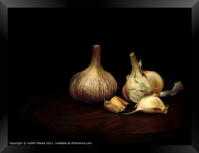 Garlic. Framed Print by Judith Flacke