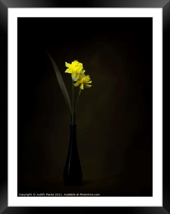 Double daffodils in a vase Framed Mounted Print by Judith Flacke