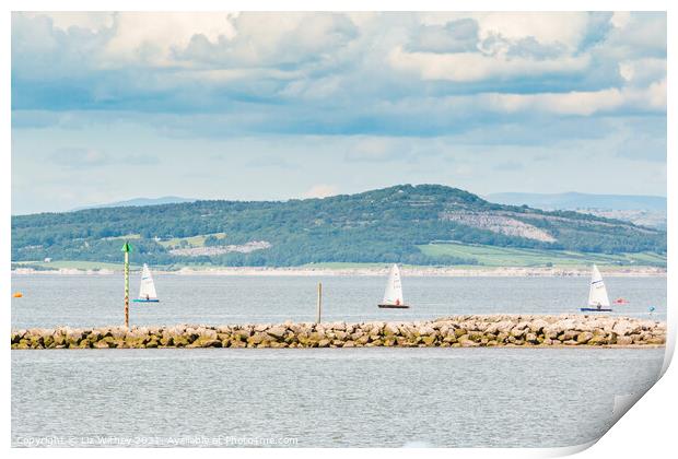 Sailing, Morecambe Bay Print by Liz Withey