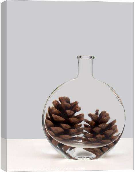 Pine cone refraction. Canvas Print by Judith Flacke