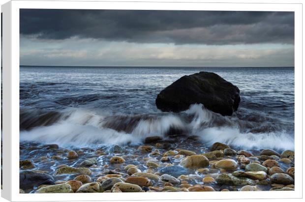 single rock on a stony beach At Hayburnwyke 171 Canvas Print by PHILIP CHALK