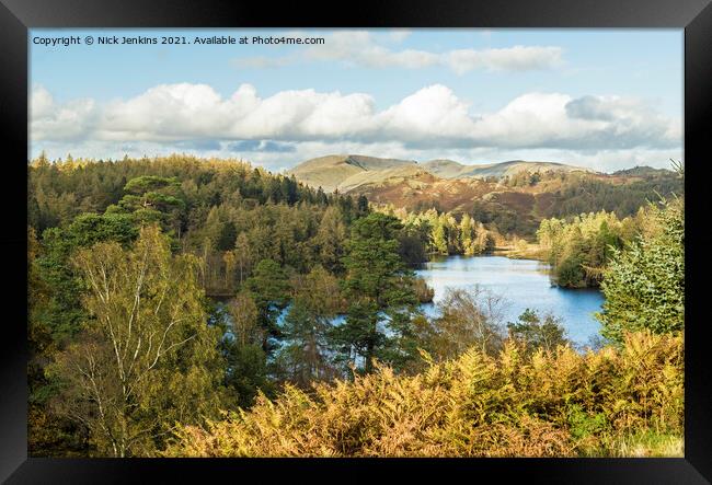 Tarn Hows Lake District National Park Cumbria Framed Print by Nick Jenkins