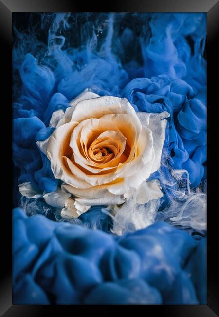 Magical Rose Framed Print by Steffen Gierok-Latniak