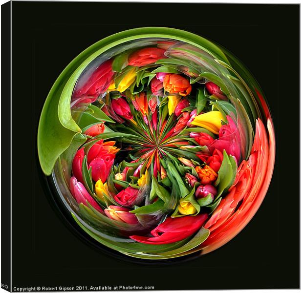 Spherical Paperweight Tulips for you Canvas Print by Robert Gipson
