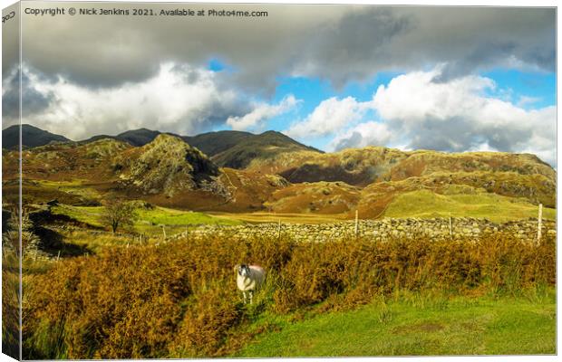 The Coniston Fells and sheep in the Lake District Canvas Print by Nick Jenkins