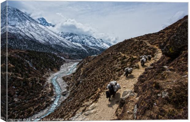 One the way up to Base Camp. Canvas Print by Ed Whiting