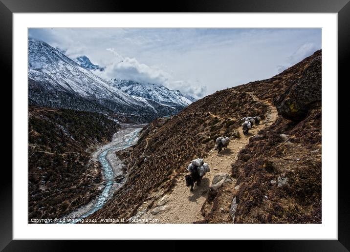 One the way up to Base Camp. Framed Mounted Print by Ed Whiting