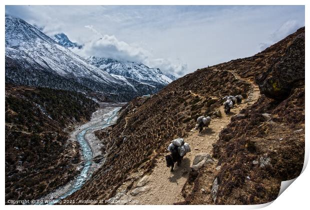 One the way up to Base Camp. Print by Ed Whiting