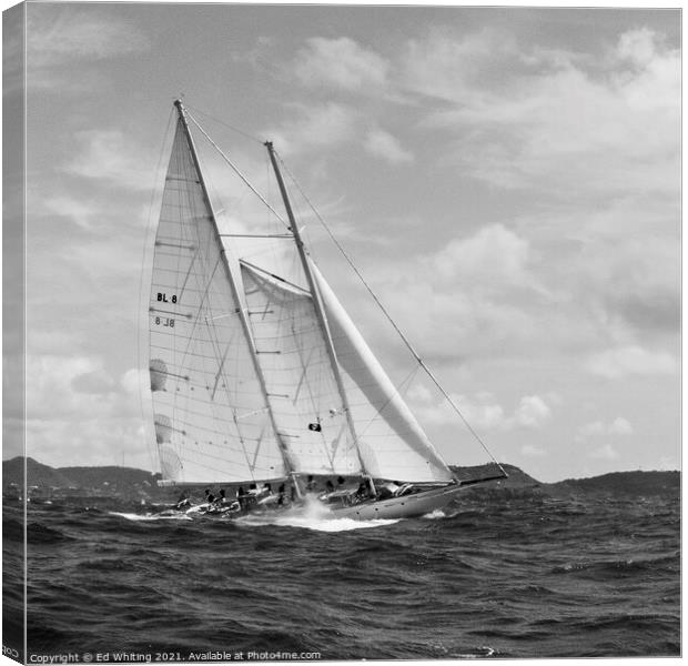 Atrevida in Black & White beautiful classic sailin Canvas Print by Ed Whiting
