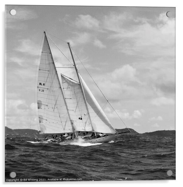 Atrevida in Black & White beautiful classic sailin Acrylic by Ed Whiting