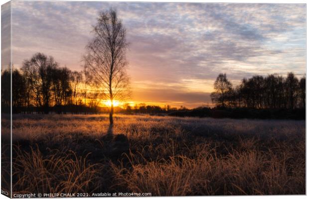 Sunrise on the common  Canvas Print by PHILIP CHALK