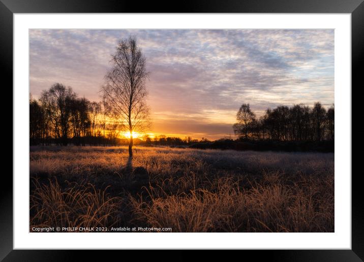 Sunrise on the common  Framed Mounted Print by PHILIP CHALK