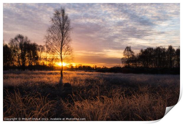 Sunrise on the common  Print by PHILIP CHALK