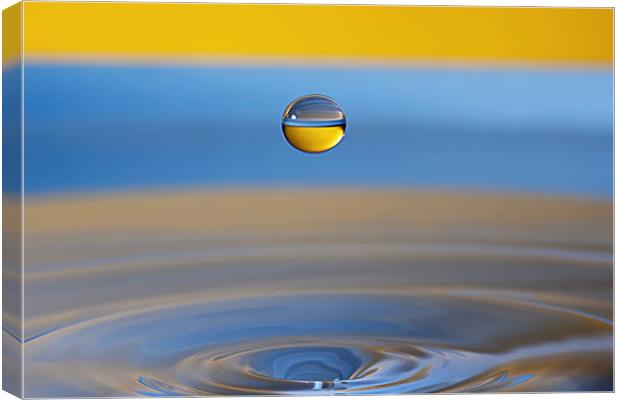 Water Droplet in Blue & Gold Canvas Print by Garry Neesam