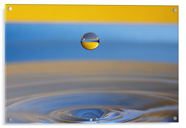 Water Droplet in Blue & Gold Acrylic by Garry Neesam