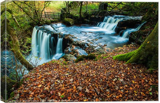 Crack pot falls in Swaledale in the Yorkshire dales.  Canvas Print by PHILIP CHALK
