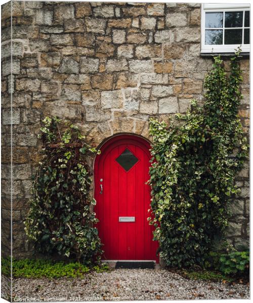 The Red Door Canvas Print by Liam Neon