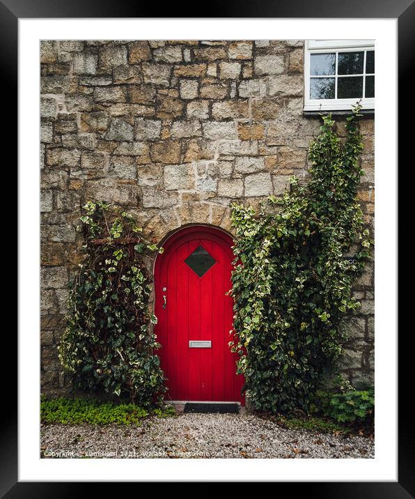 The Red Door Framed Mounted Print by Liam Neon