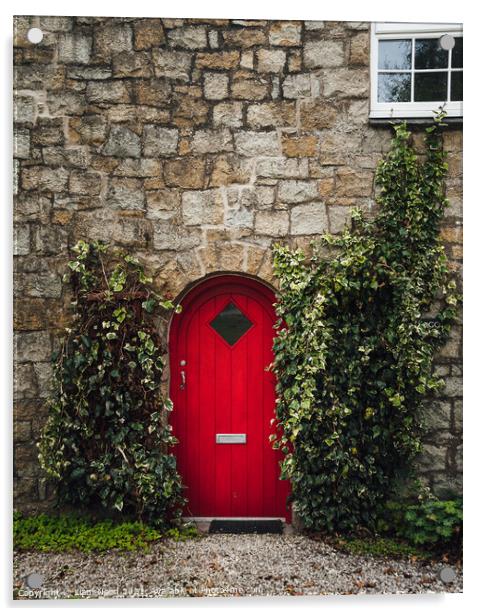 The Red Door Acrylic by Liam Neon