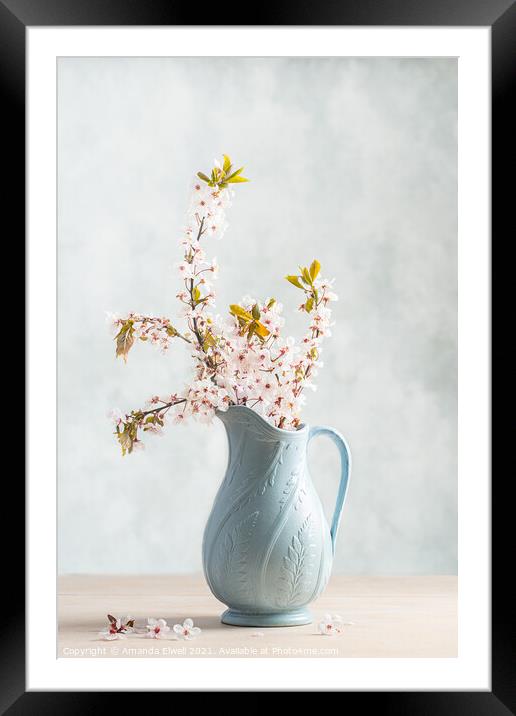 Springtime Blossom Framed Mounted Print by Amanda Elwell