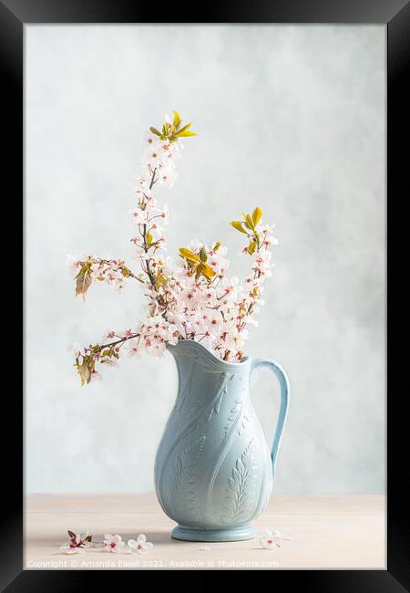 Springtime Blossom Framed Print by Amanda Elwell