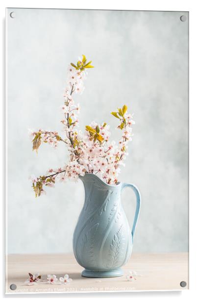 Springtime Blossom Acrylic by Amanda Elwell