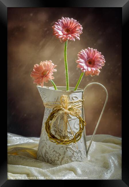 Vase Of Gerbera's Framed Print by Amanda Elwell