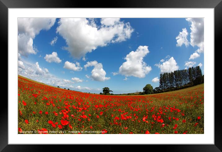 Poppies in field near Binham and Holt, north Norfolk, England, UK Framed Mounted Print by Geraint Tellem ARPS