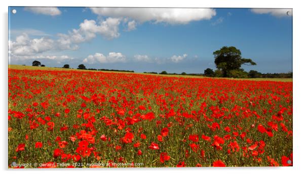 Poppies in field near Binham and Holt, North Norfolk, England, UK Acrylic by Geraint Tellem ARPS