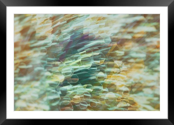 Hypnotic Spectrum of Dynamic Blurs Framed Mounted Print by Guido Parmiggiani