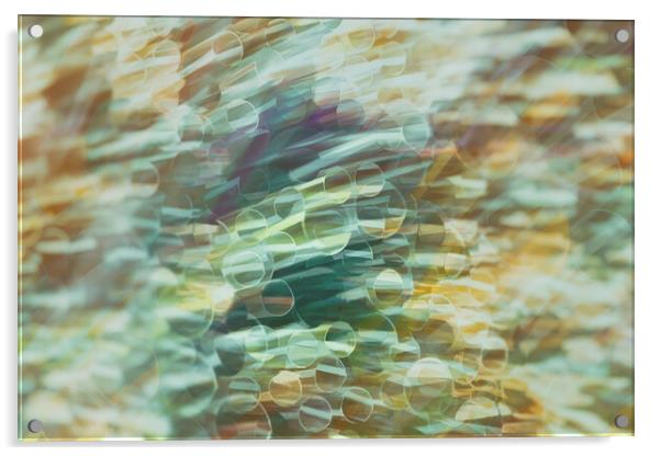 Hypnotic Spectrum of Dynamic Blurs Acrylic by Guido Parmiggiani